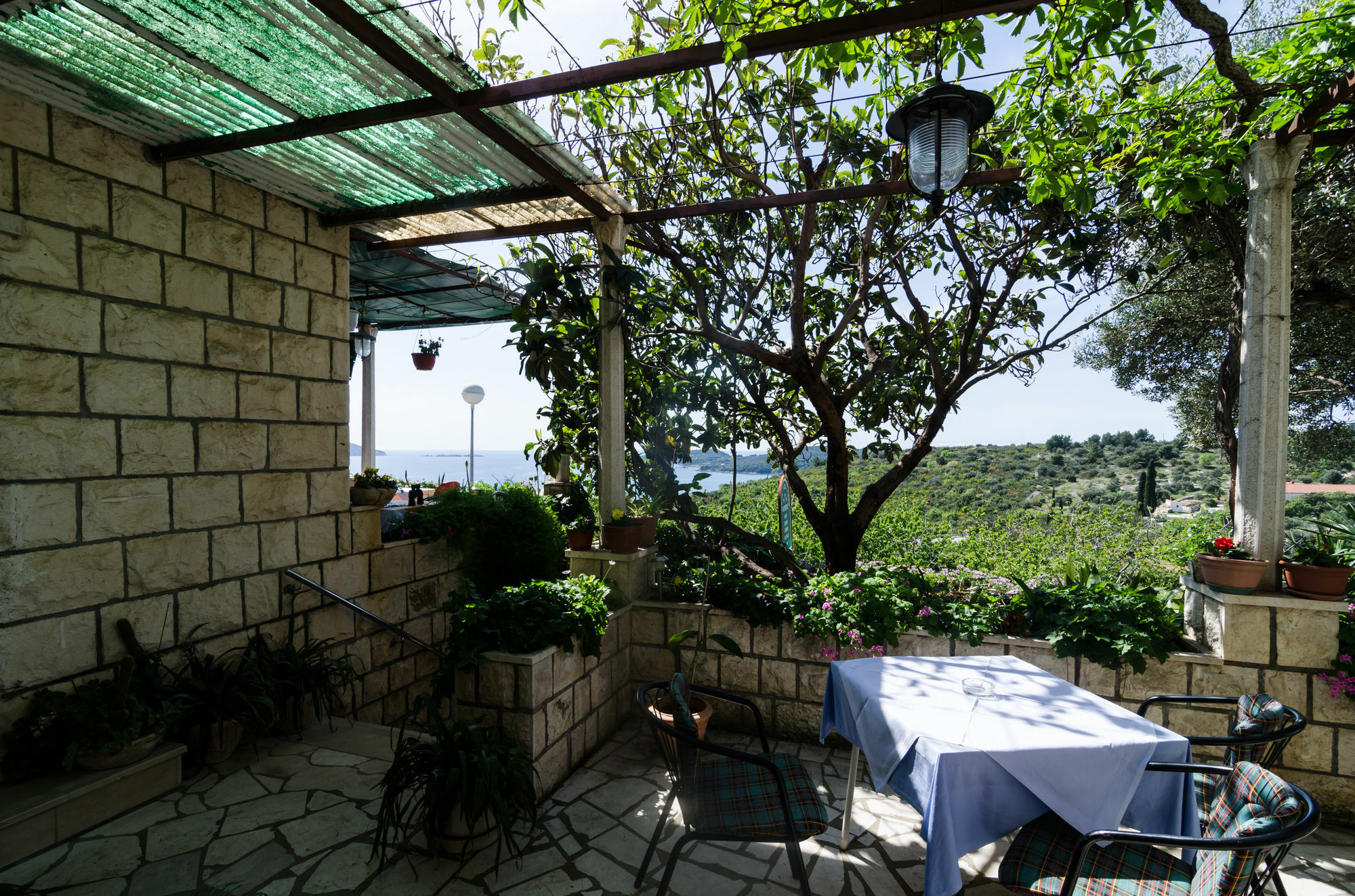 Guesthouse Moretic Орашац Экстерьер фото